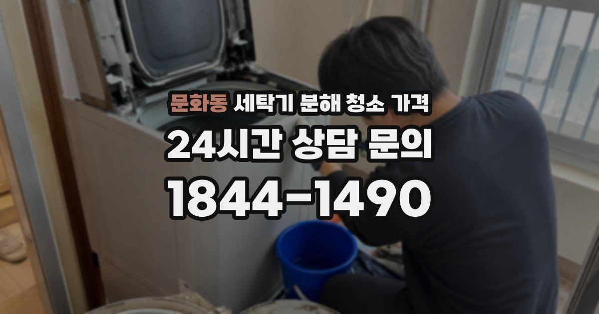 문화동 세탁기 분해 청소 가격