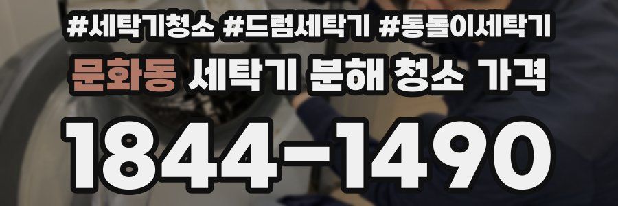 문화동 세탁기 분해 청소 가격