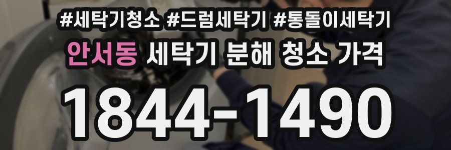 안서동 세탁기 분해 청소 가격