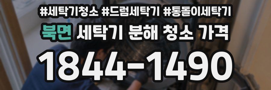 북면 세탁기 분해 청소 가격