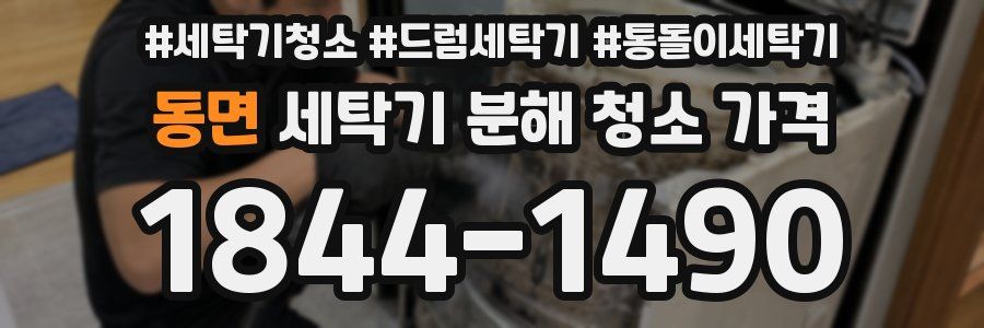 동면 세탁기 분해 청소 가격