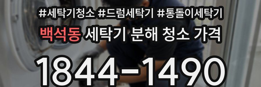 백석동 세탁기 분해 청소 가격