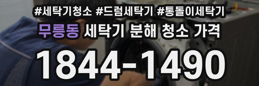 무릉동 세탁기 분해 청소 가격