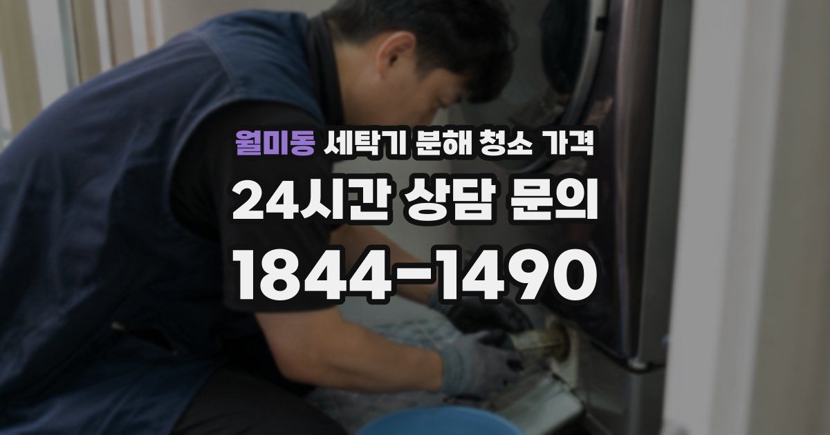 월미동 세탁기 분해 청소 가격