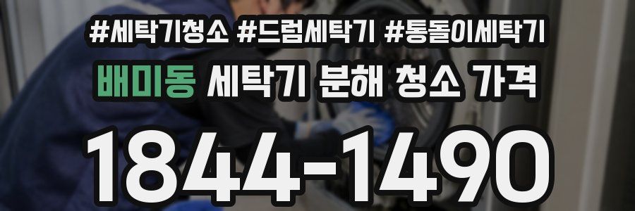 배미동 세탁기 분해 청소 가격