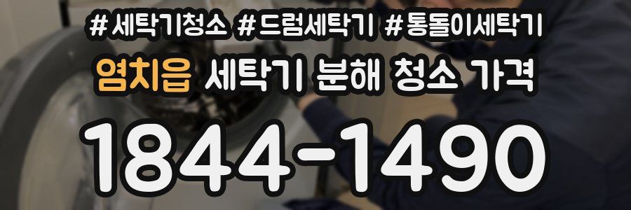 염치읍 세탁기 분해 청소 가격