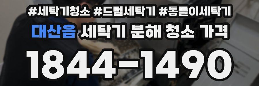 대산읍 세탁기 분해 청소 가격