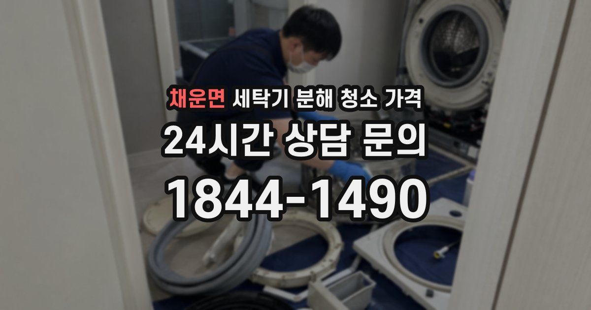 채운면 세탁기 분해 청소 가격