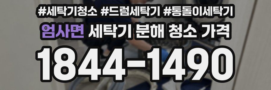 엄사면 세탁기 분해 청소 가격