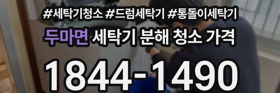 두마면 세탁기 분해 청소 가격