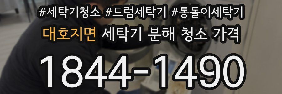 대호지면 세탁기 분해 청소 가격