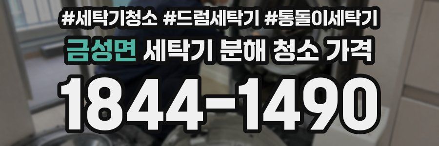 금성면 세탁기 분해 청소 가격