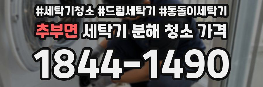 추부면 세탁기 분해 청소 가격