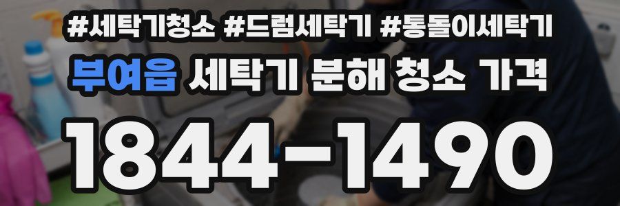 부여읍 세탁기 분해 청소 가격