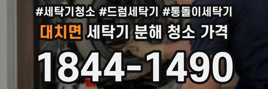 대치면 세탁기 분해 청소 가격
