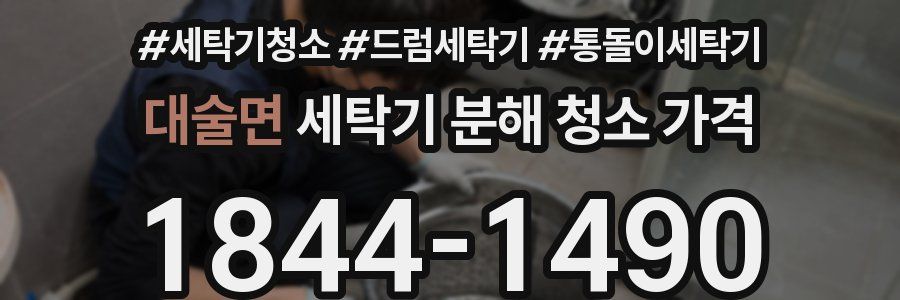 대술면 세탁기 분해 청소 가격
