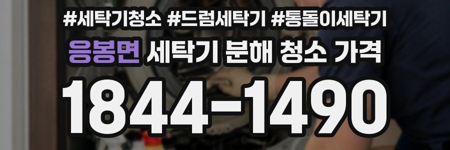 응봉면 세탁기 분해 청소 가격