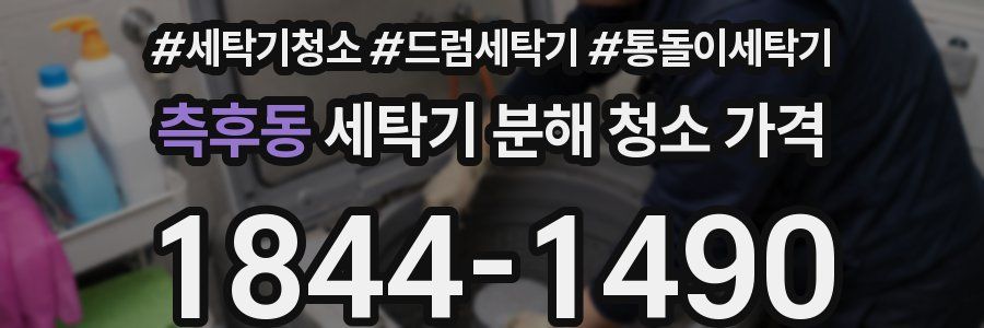 측후동 세탁기 분해 청소 가격