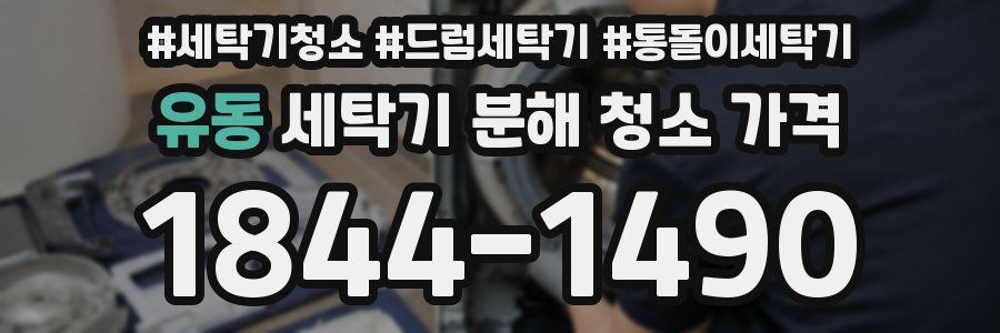 유동 세탁기 분해 청소 가격