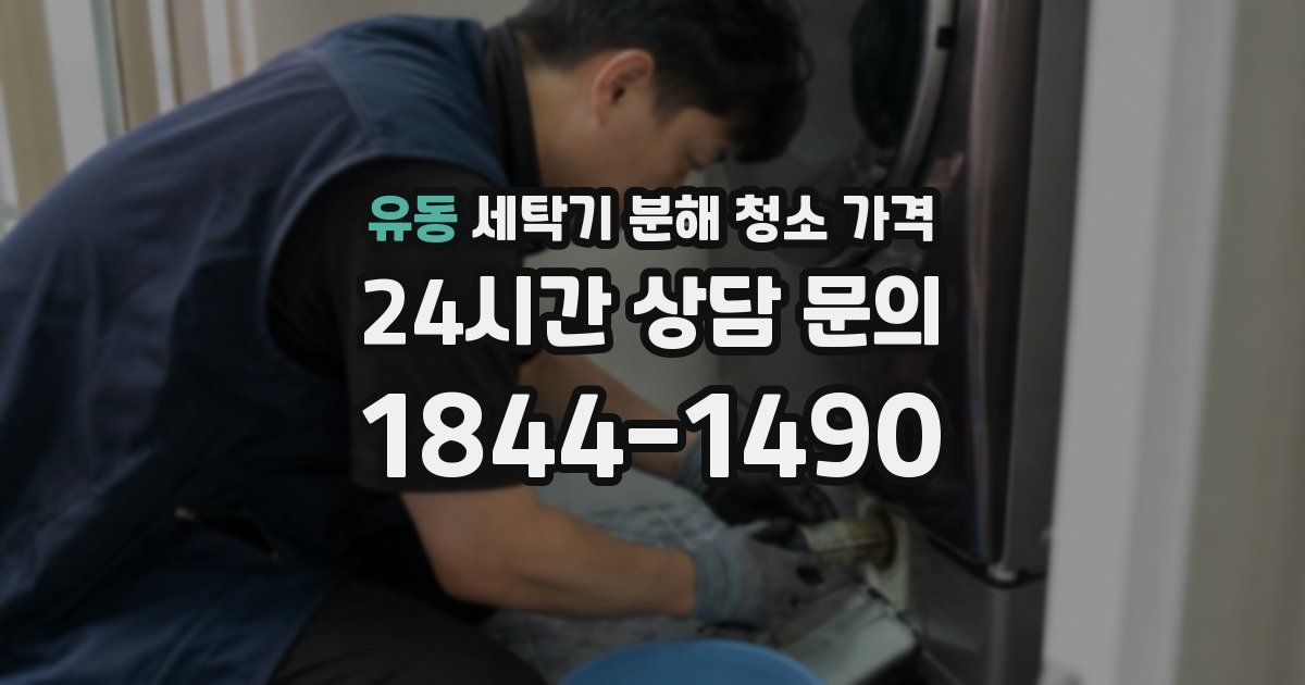 유동 세탁기 분해 청소 가격