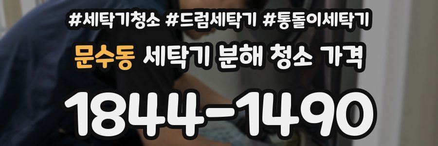 문수동 세탁기 분해 청소 가격