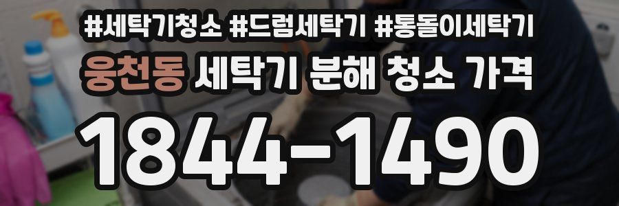 웅천동 세탁기 분해 청소 가격