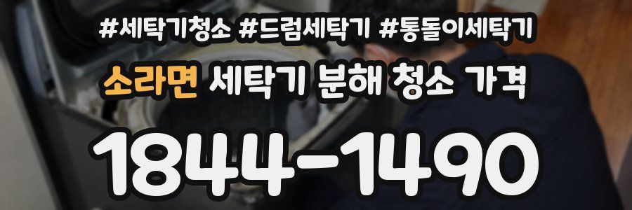 소라면 세탁기 분해 청소 가격