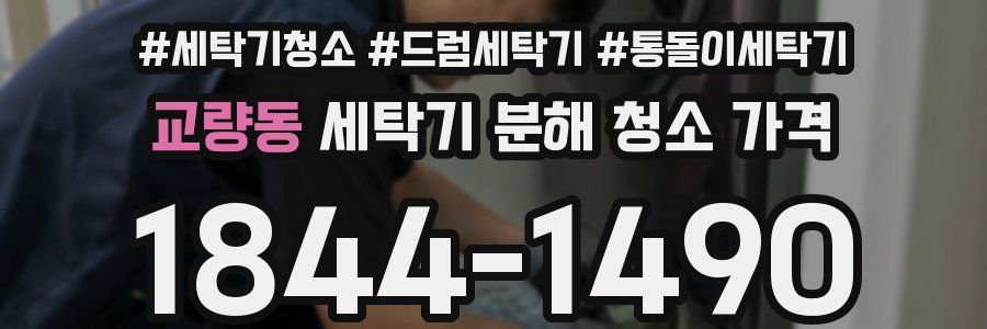 교량동 세탁기 분해 청소 가격