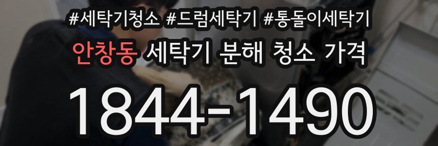 안창동 세탁기 분해 청소 가격