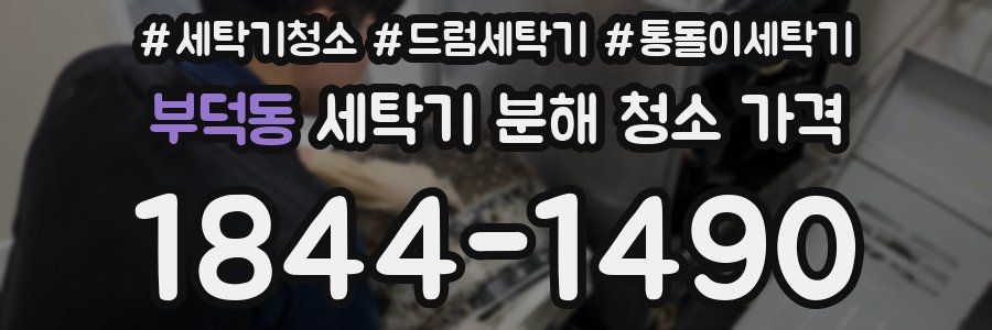 부덕동 세탁기 분해 청소 가격