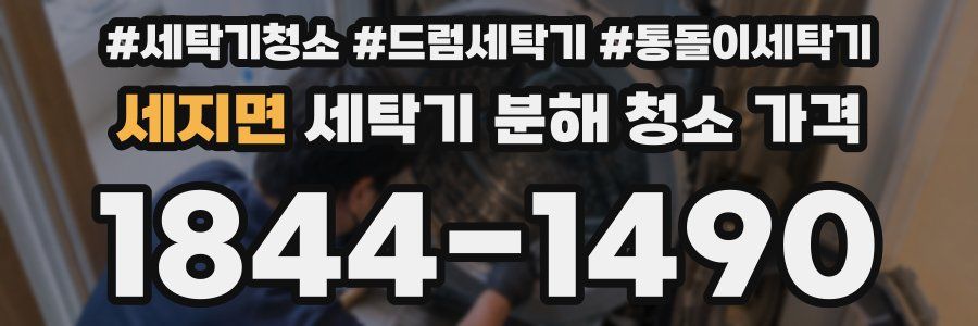 세지면 세탁기 분해 청소 가격