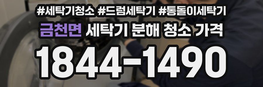 금천면 세탁기 분해 청소 가격