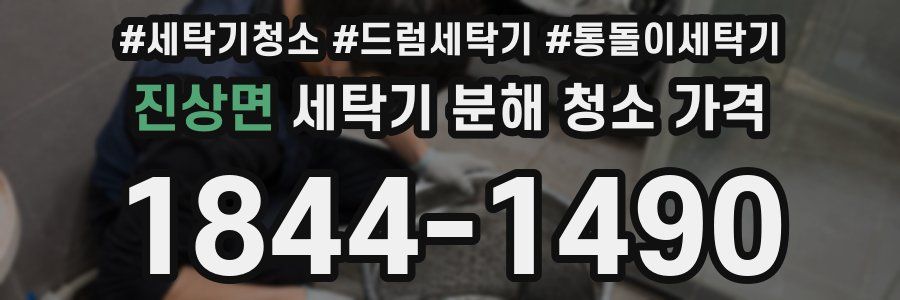 진상면 세탁기 분해 청소 가격