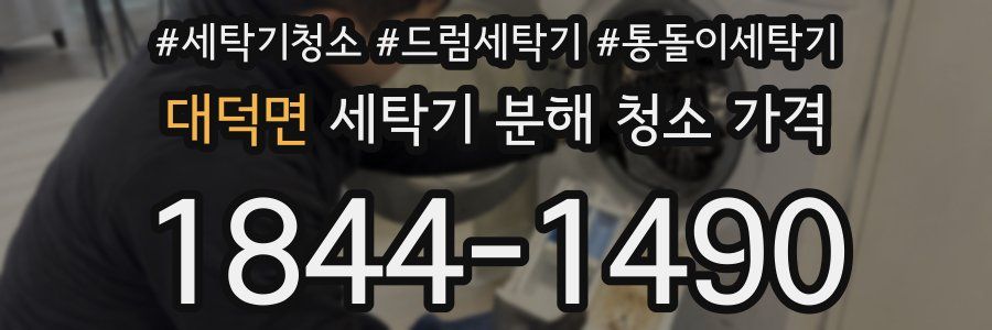 대덕면 세탁기 분해 청소 가격