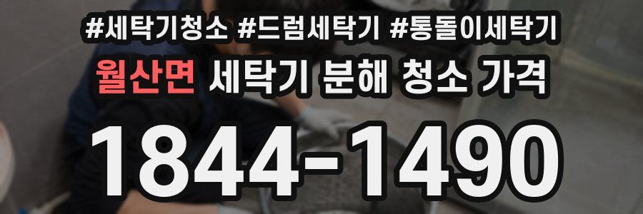 월산면 세탁기 분해 청소 가격