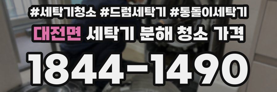 대전면 세탁기 분해 청소 가격