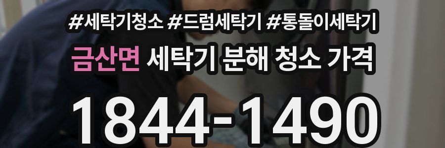 금산면 세탁기 분해 청소 가격