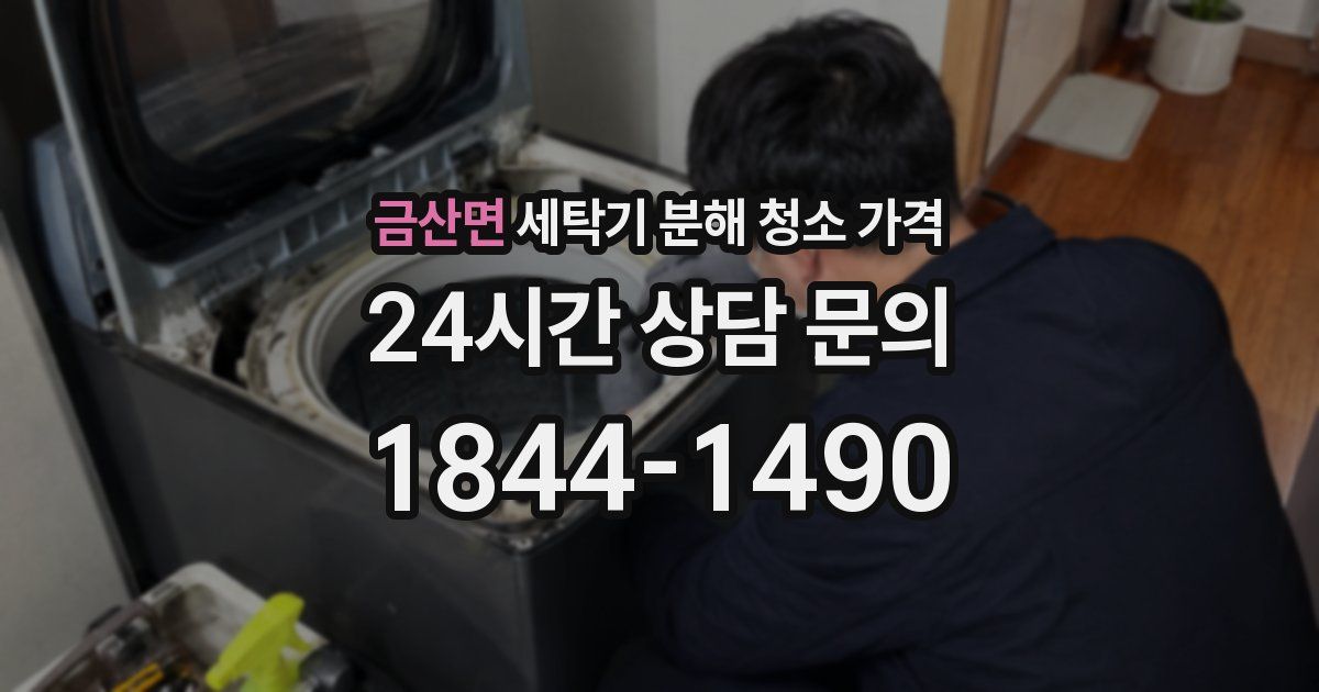 금산면 세탁기 분해 청소 가격