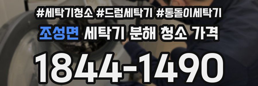 조성면 세탁기 분해 청소 가격