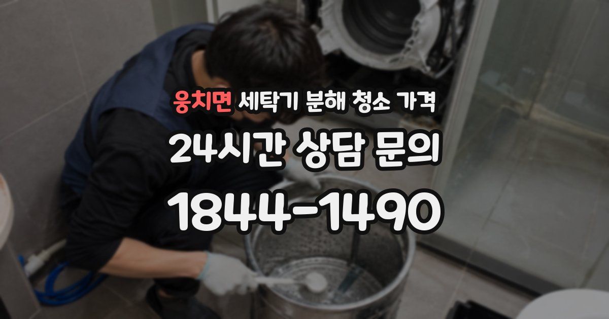 웅치면 세탁기 분해 청소 가격