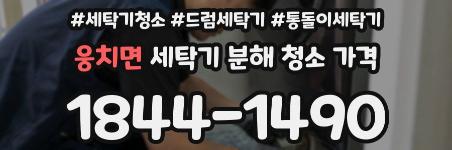 웅치면 세탁기 분해 청소 가격