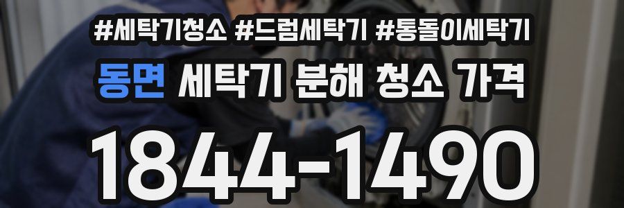 동면 세탁기 분해 청소 가격