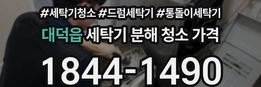 대덕읍 세탁기 분해 청소 가격