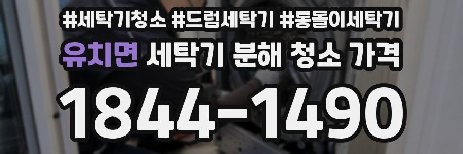 유치면 세탁기 분해 청소 가격