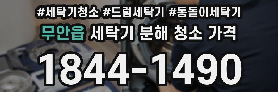 무안읍 세탁기 분해 청소 가격