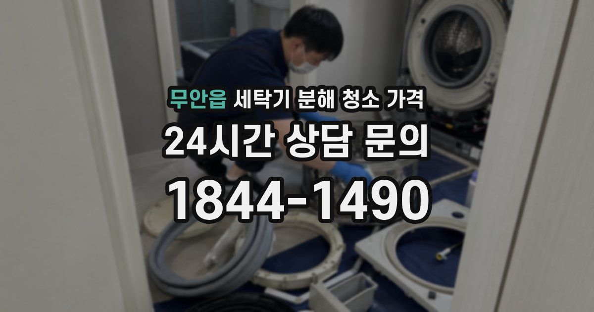 무안읍 세탁기 분해 청소 가격