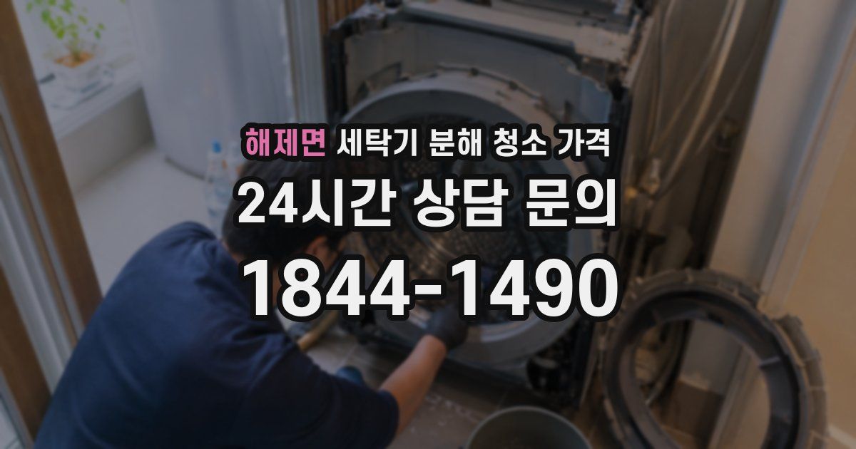 해제면 세탁기 분해 청소 가격