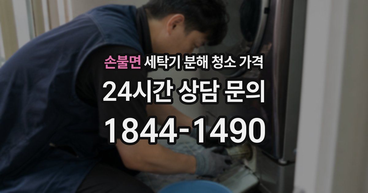 손불면 세탁기 분해 청소 가격