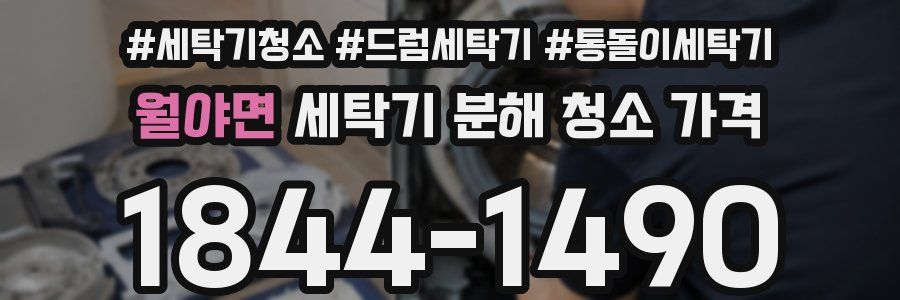 월야면 세탁기 분해 청소 가격