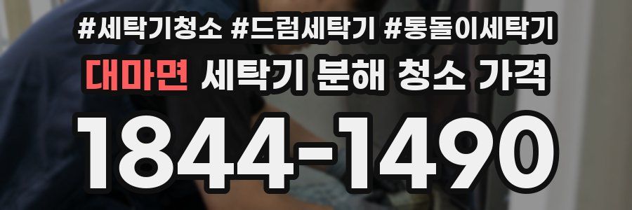대마면 세탁기 분해 청소 가격